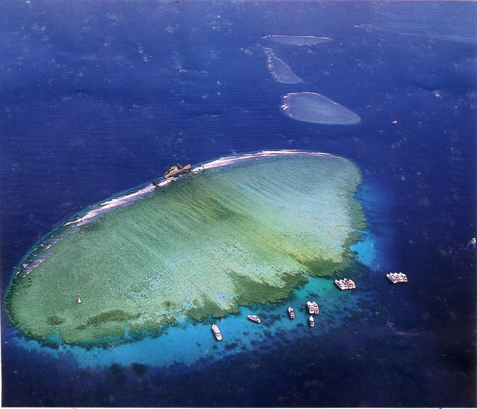 Tiran Island Coral Reefs Snorkeling