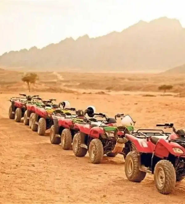 Quad Biking Adventure & Bedouin Tea – Sharm El Sheikh