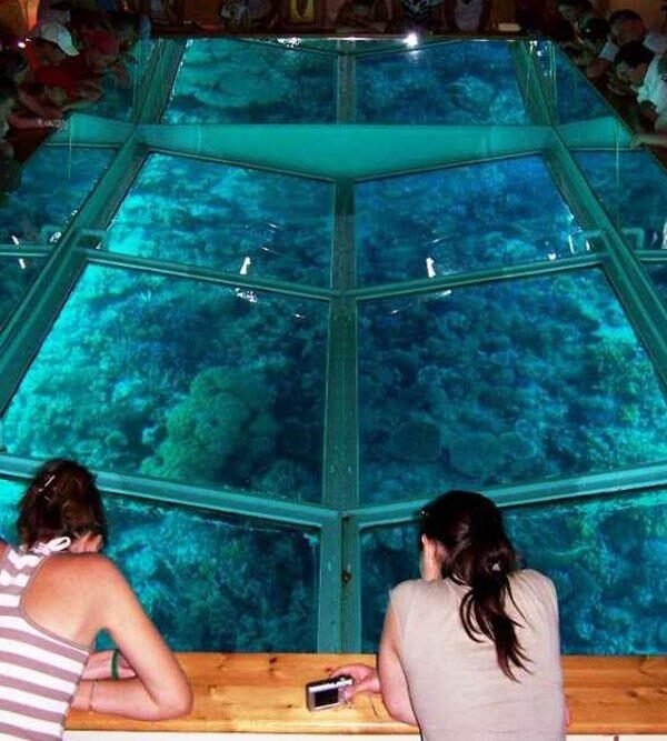 Glass Bottom Boat Tour & Snorkeling, Naama Bay, Sharm El Sheikh