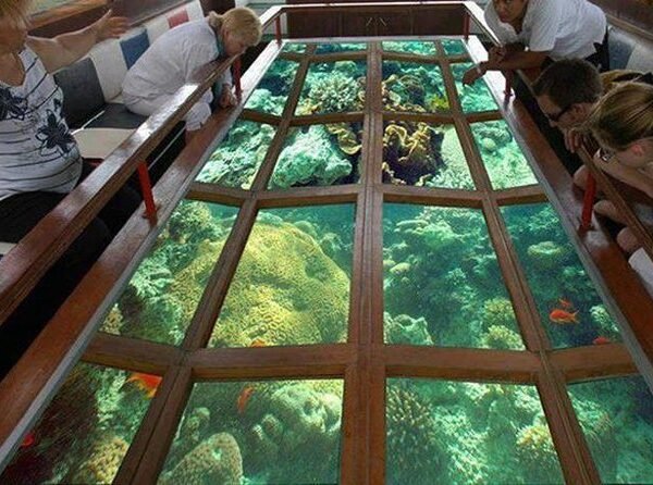 Glass Bottom Boat Tour & Snorkeling, Naama Bay, Sharm El Sheikh