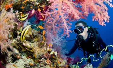 Beginner diving adventure in Sharm El Sheikh on a full-day Red Sea boat trip