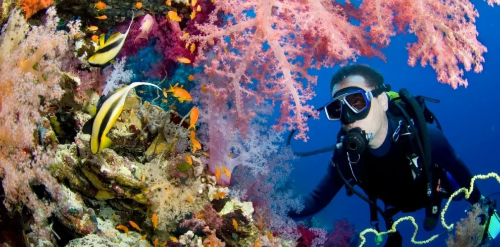 Beginner diving adventure in Sharm El Sheikh on a full-day Red Sea boat trip