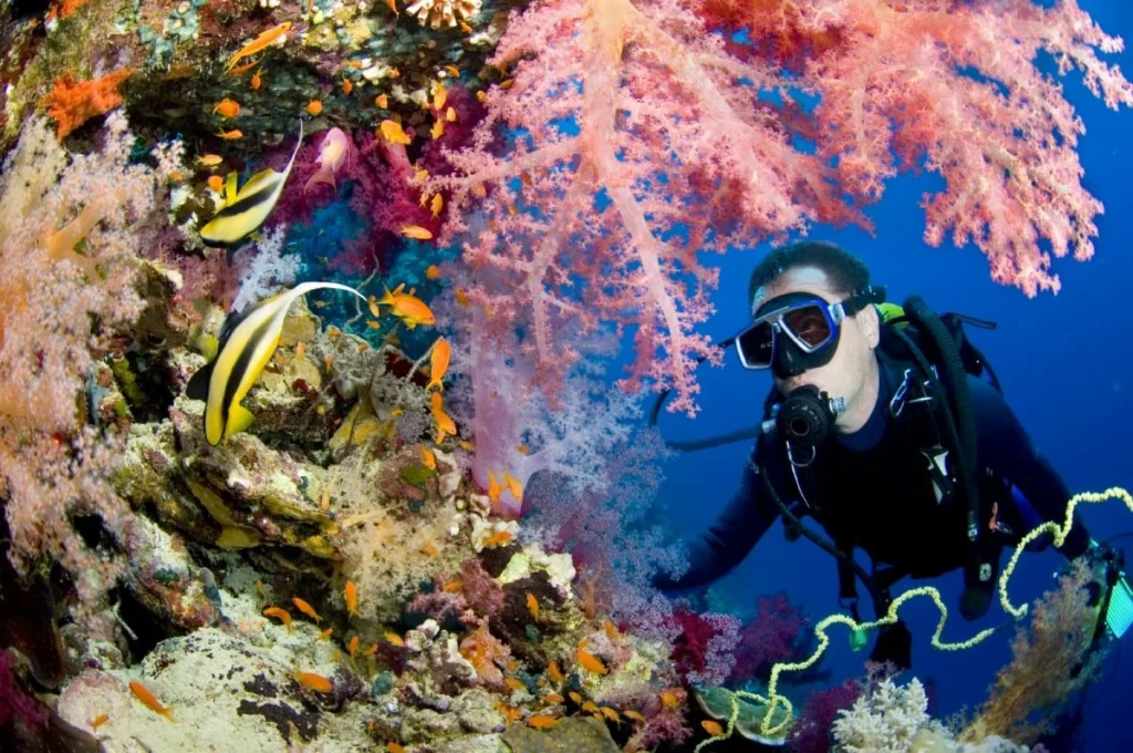 Sharm El Sheikh Beginner Diving – Full-Day Boat Adventure
