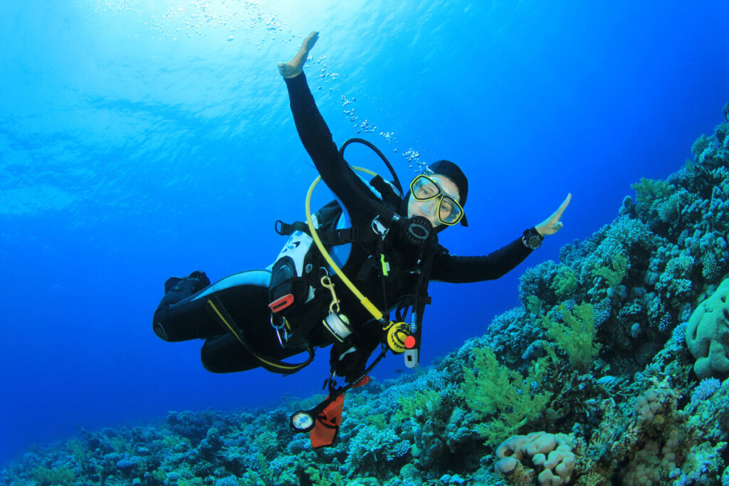 Sharm El Sheikh Beginner Diving – Full-Day Boat Adventure