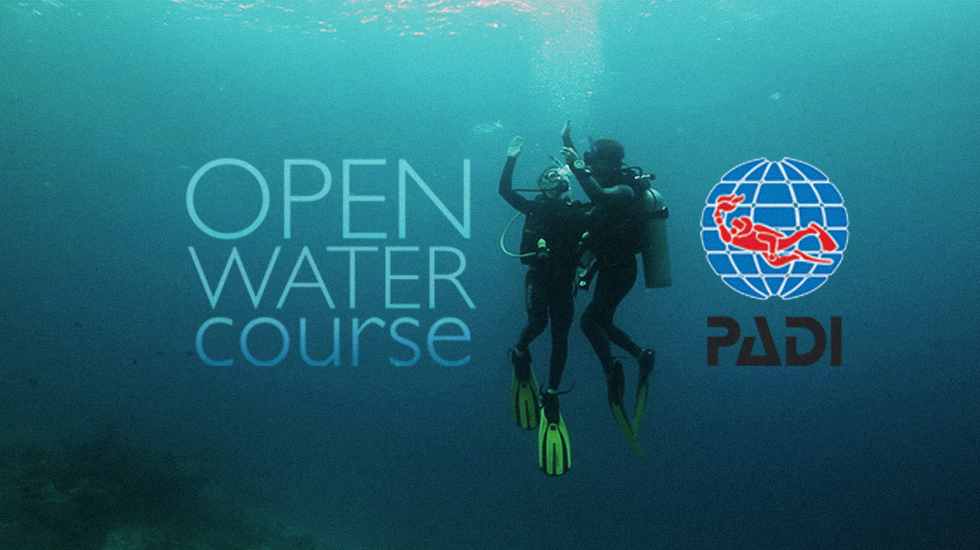 Open Water Diver Course – Learn to Dive Sharm – PADI & SSI