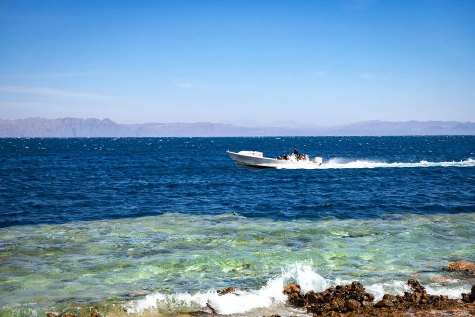 Snorkeling at Abu Galoum & Blue Hole by speed boat from Sharm El Sheikh