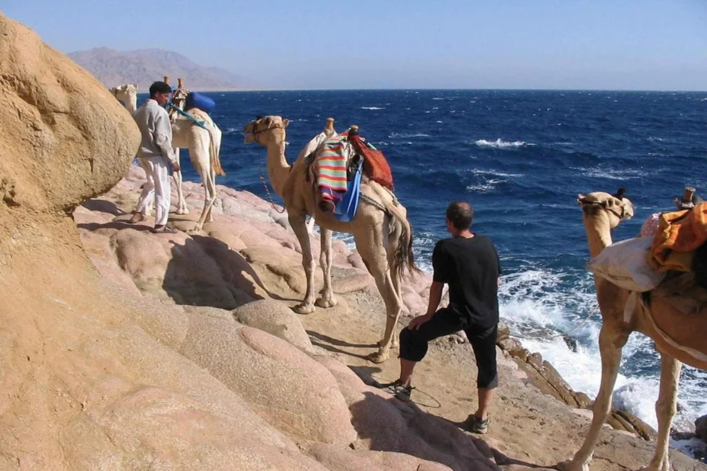 Dahab Blue Hole Snorkeling & Canyon Trip with Camel Ride