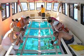 Glass Bottom Boat Tour & Snorkeling, Naama Bay, Sharm El Sheikh
