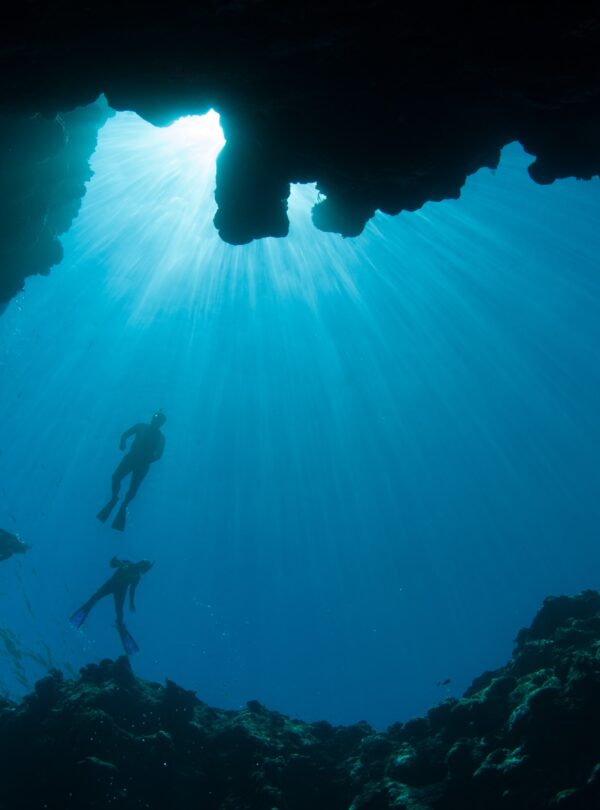 Snorkeling at Abu Galoum & Blue Hole by speed boat from Sharm El Sheikh