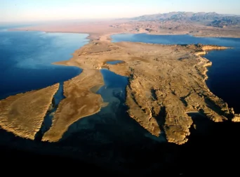 Ultimate Ras Mohamed Snorkeling Tour | Sharm El Sheikh