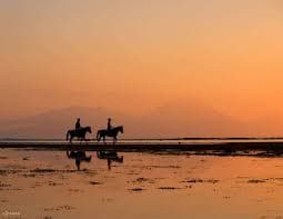 Sunset horse riding tour in Sharm El Sheikh desert and beach