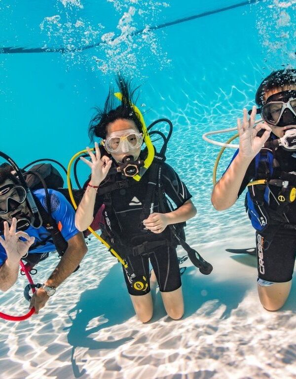 Become a Certified Open Water Diver in the Crystal-Clear Waters of Sharm El Sheikh
