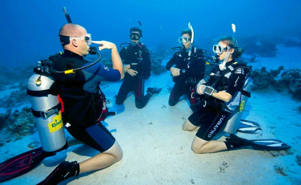 Open Water Diver Course – Learn to Dive Sharm – PADI & SSI