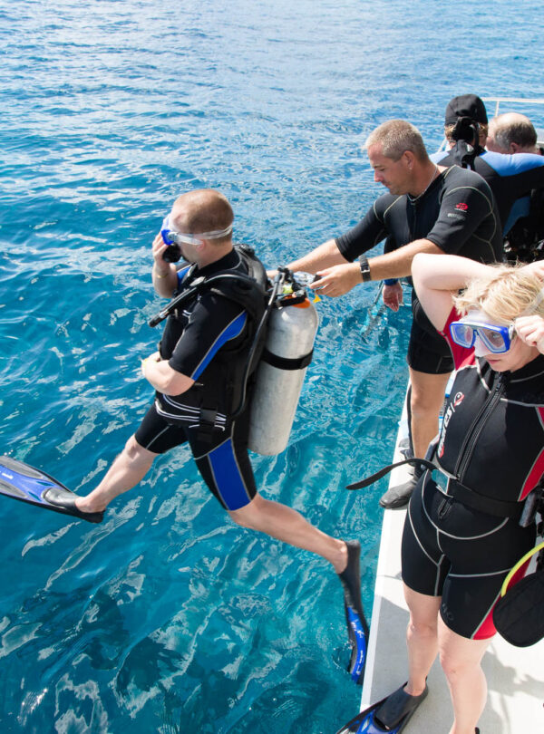 Become a Certified Open Water Diver in the Crystal-Clear Waters of Sharm El Sheikh