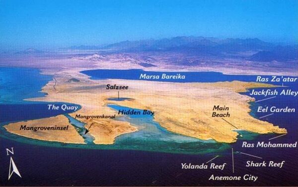 Ultimate Ras Mohamed Snorkeling Tour | Sharm El Sheikh