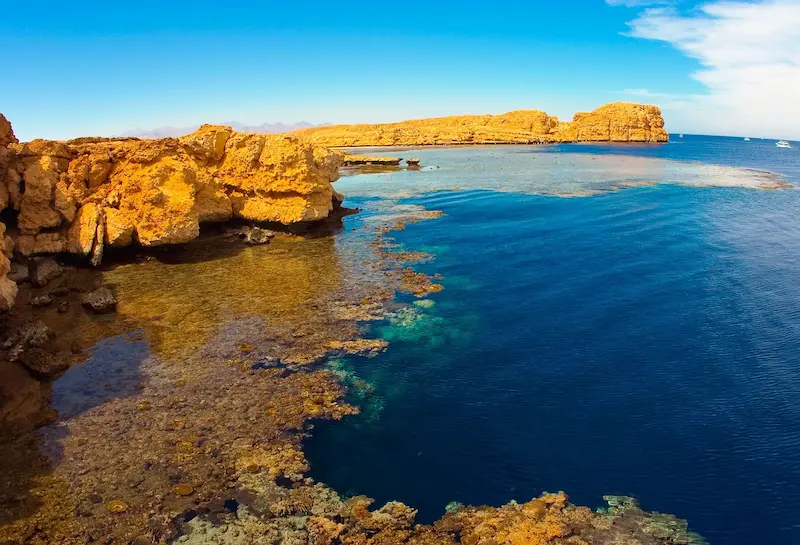 “Ras Mohamed National Park coral reef”