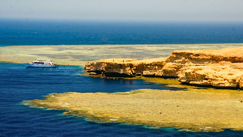 Ras Mohamed Snorkeling Tour: Snorkeling the coral reefs of Ras Mohamed, a colorful underwater view with tropical fish and a person snorkeling above in Ras Mohamed National Park.  