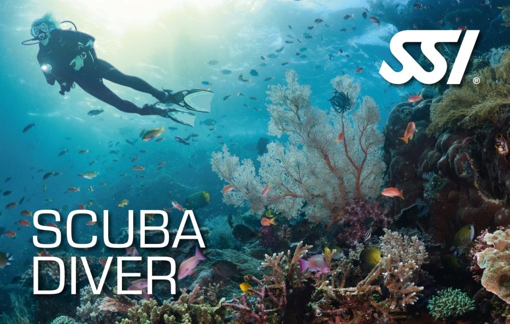 Open Water Diver Course – Learn to Dive Sharm – PADI & SSI