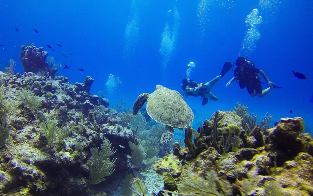 Professional Divers Boat Trip – Best Red Sea Sites Sharm