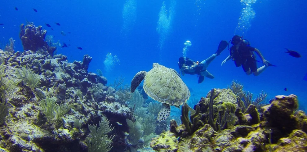 Professional Divers Boat Trip – Best Red Sea Sites Sharm