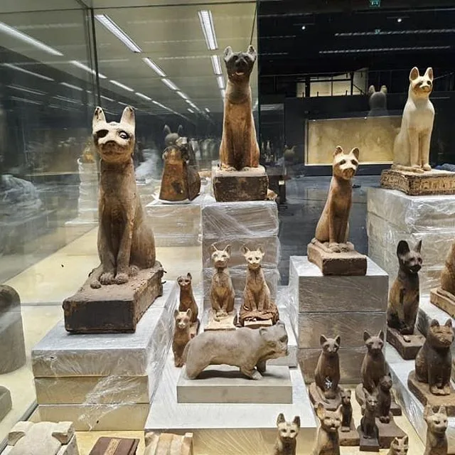 Discover Ancient Egyptian Treasures at Sharm El Sheikh Museum