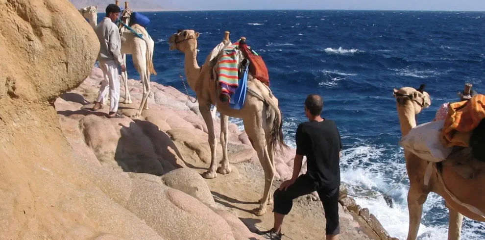 A group of tourists snorkeling in the clear blue waters of the Blue Hole in Dahab.