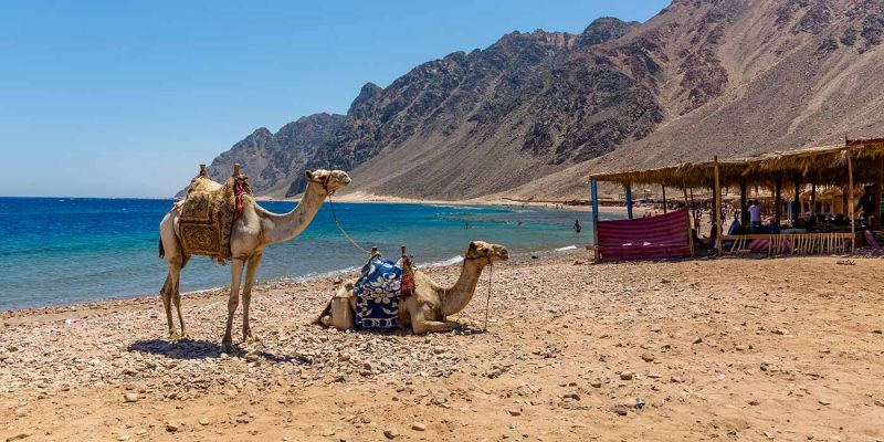  Dahab 5-in-1 Tour from Sharm – Blue Lagoon & Snorkeling