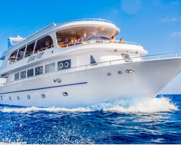 Elite VIP Red Sea Snorkeling Trip in Sharm El Sheikh