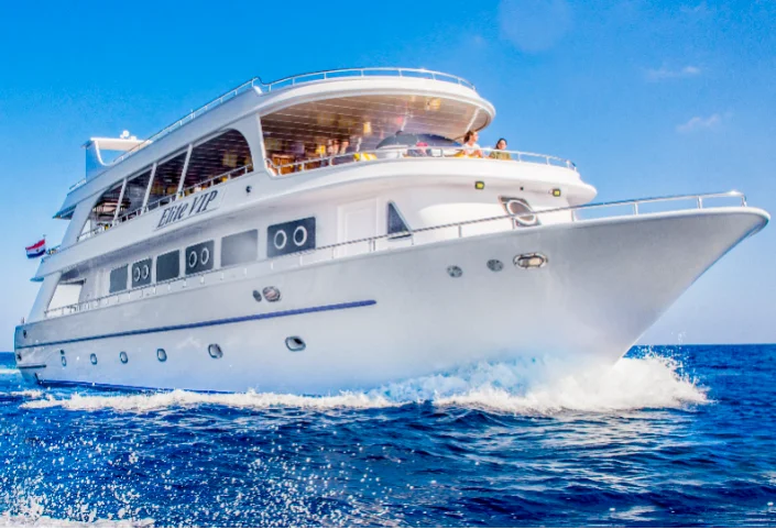Elite VIP Red Sea Snorkeling Trip in Sharm El Sheikh