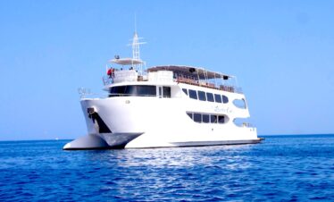 A family on a glass-bottomed catamaran smiling at colorful fish and coral reefs.