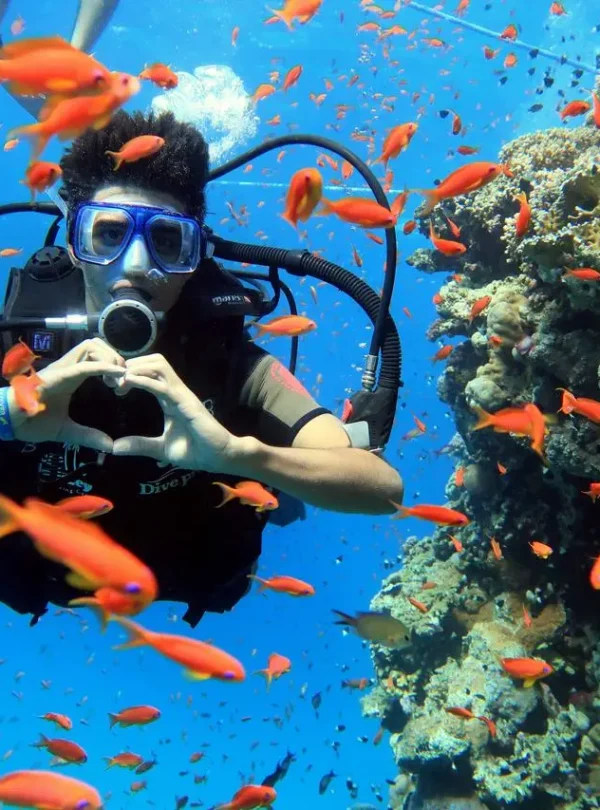 Diving & Snorkeling Coral Reef Sharm