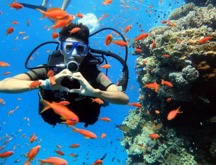 Diving & Snorkeling Coral Reef Sharm