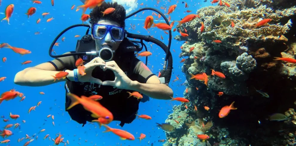 Diving & Snorkeling Coral Reef Sharm