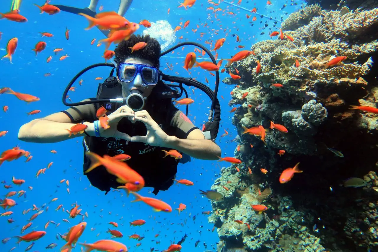 Diving & Snorkeling Coral Reef Sharm