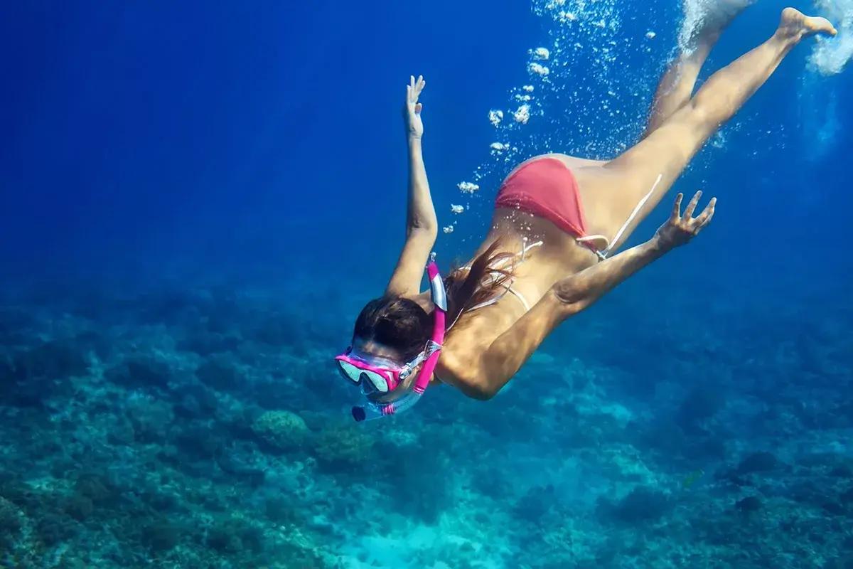 Snorkeling in the Red Sea among colorful coral reefs