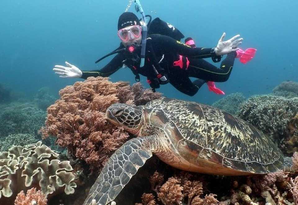 Ras Mohamed Intro dive