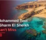 Ras Mohammed Tour from Sharm El Sheikh