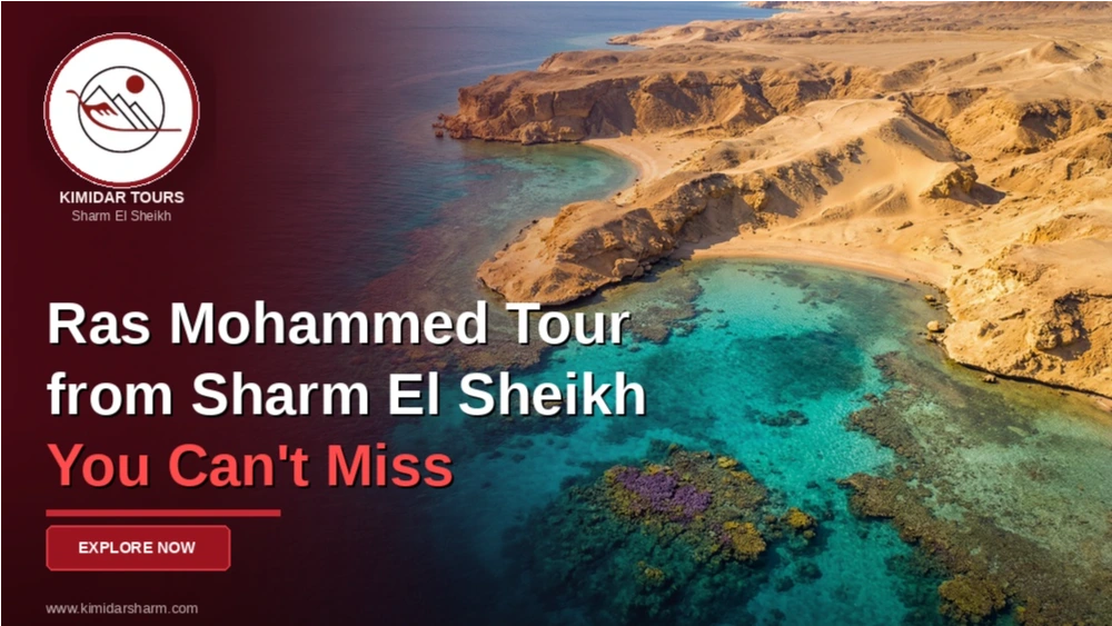 Ras Mohammed Tour from Sharm El Sheikh