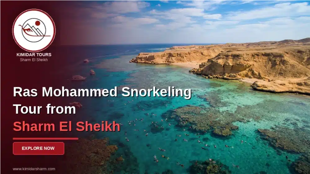 Ras Mohammed Snorkeling Tour from Sharm El Sheikh