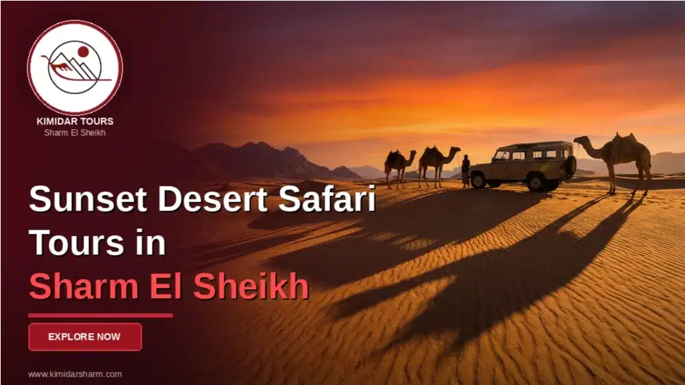 Sunset Desert Safari Tours in Sharm El Sheikh