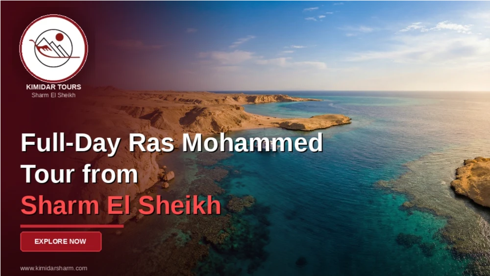 Full-Day Ras Mohammed Tour from Sharm El Sheikh