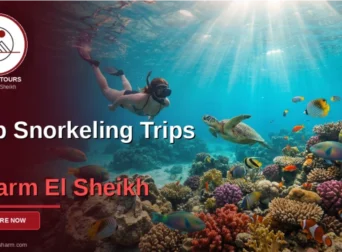Top Snorkeling Trips in Sharm El Sheikh
