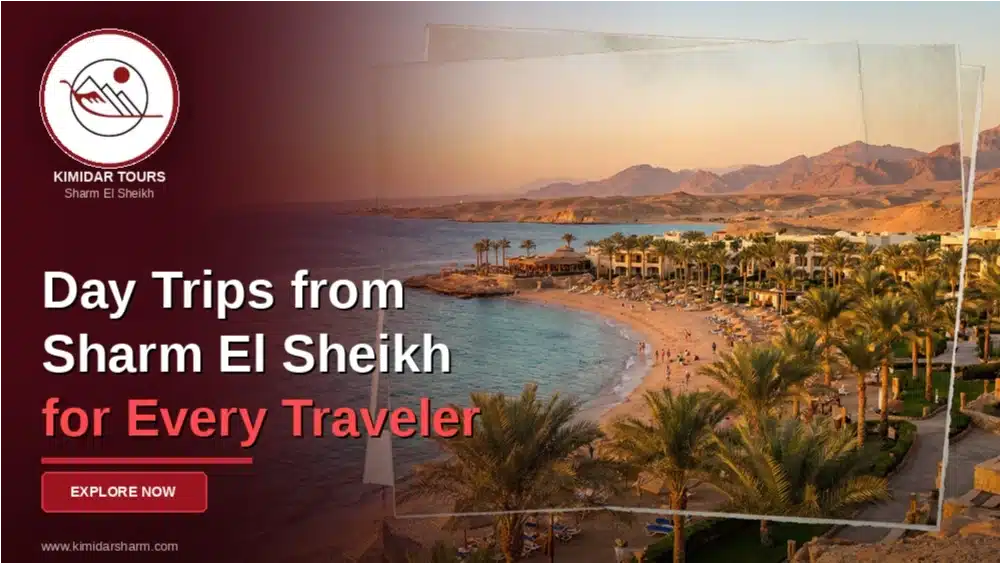 Day Trips from Sharm El Sheikh for Every Traveler