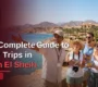 Your Complete Guide to Safari Trips in Sharm El Sheikh