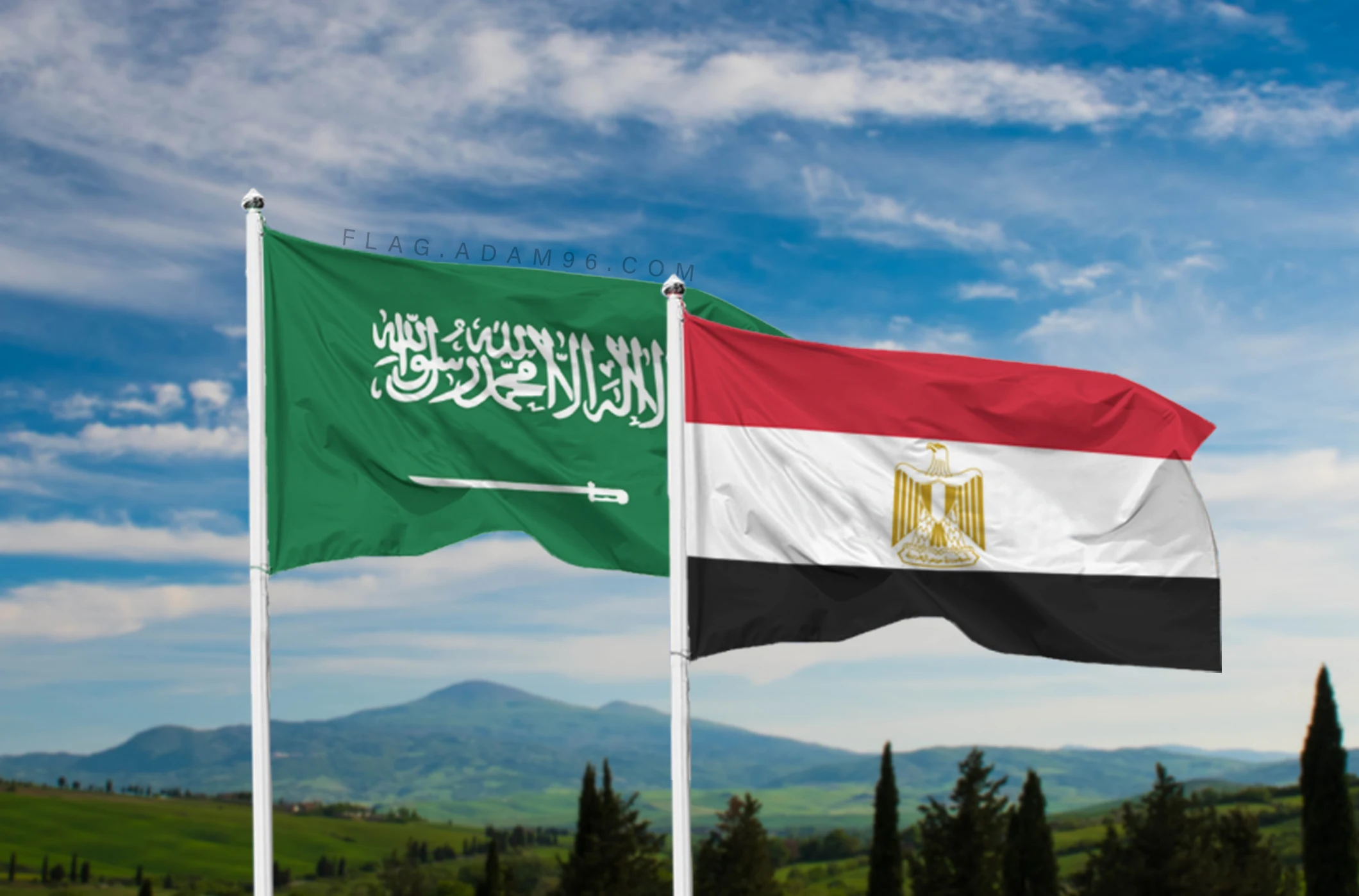 مصر والسعودية