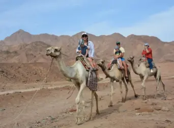 Authentic camel ride experience in Sharm El Sheikh desert during Desert Super Safari