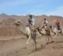 Authentic camel ride experience in Sharm El Sheikh desert during Desert Super Safari