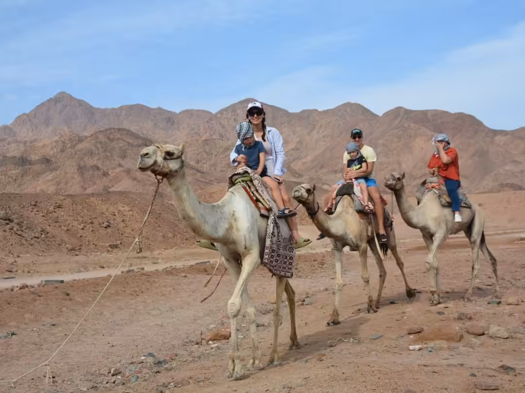 Camel ride experience during Dahab Full Day Adventure from Sharm El Sheikh desert tour