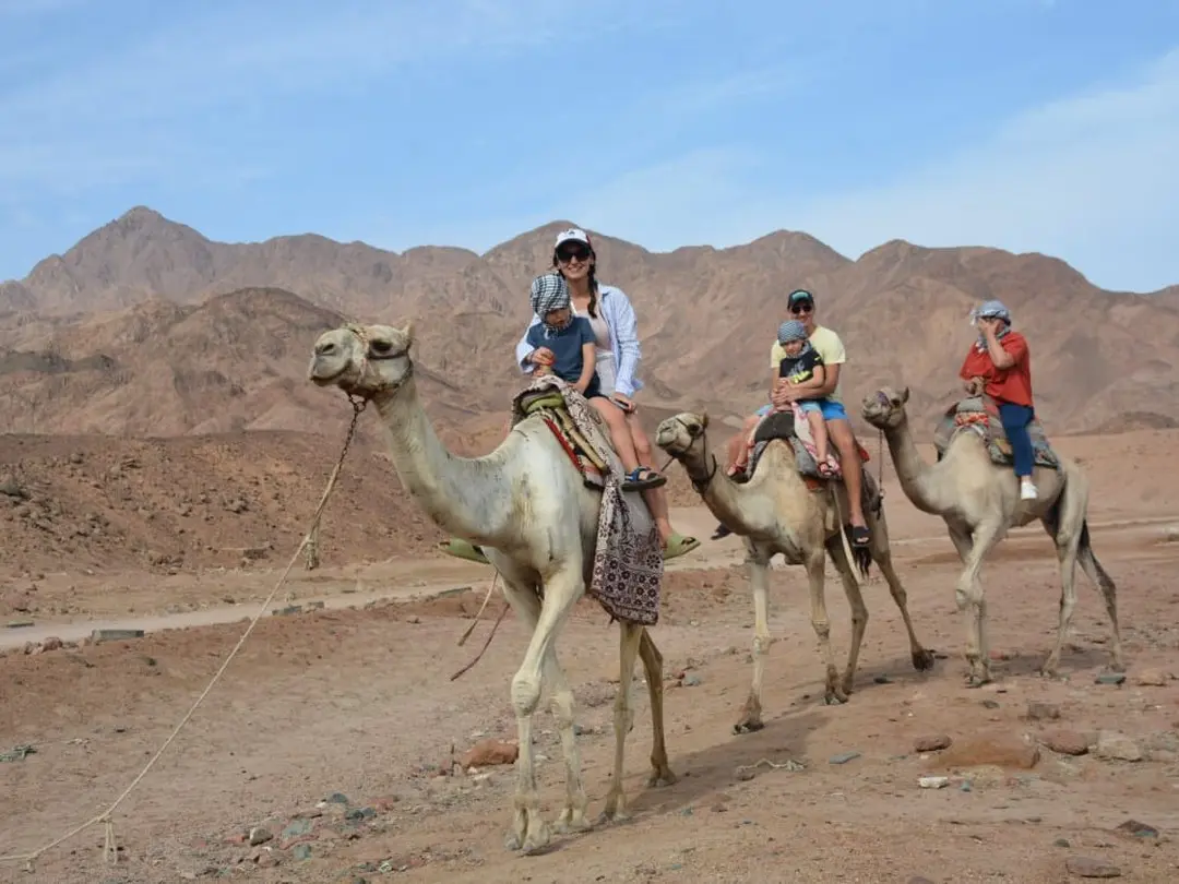 Authentic camel ride experience in Sharm El Sheikh desert during Desert Super Safari