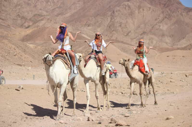 Camel ride at Bedouin camp desert safari Sharm El Sheikh